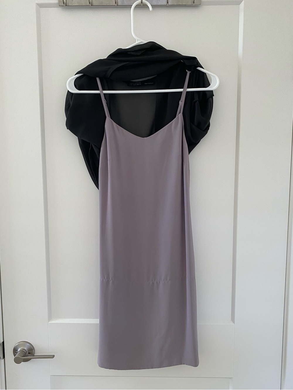 Allsaints Lance Dress Sheer Black with Taupe Inner Slip Size 0 Originally $240 - Picture 4 of 11